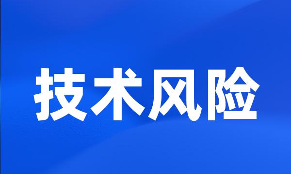 技术风险
