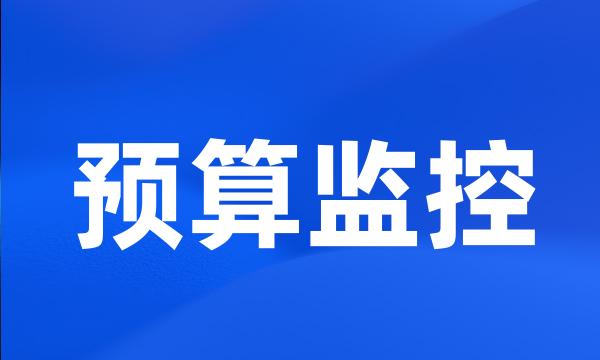 预算监控