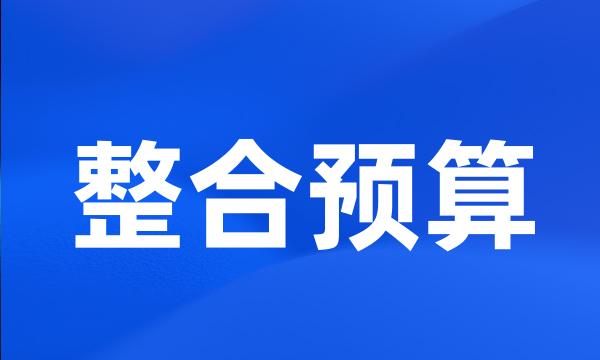 整合预算