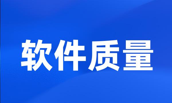 软件质量