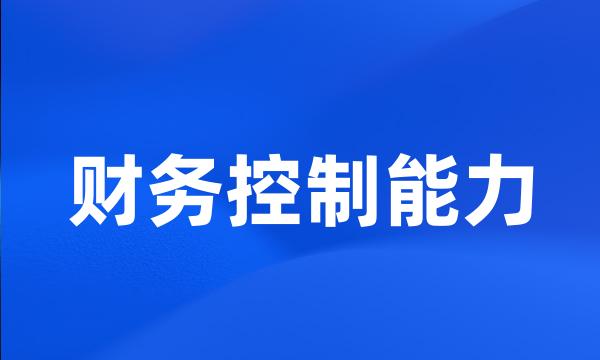 财务控制能力