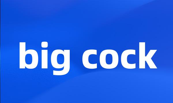 big cock