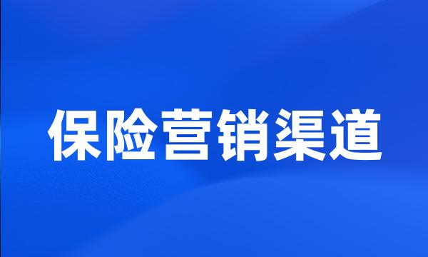 保险营销渠道