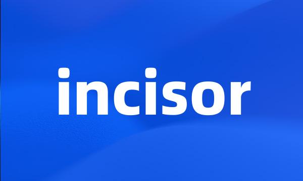 incisor