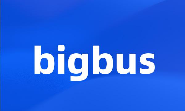 bigbus