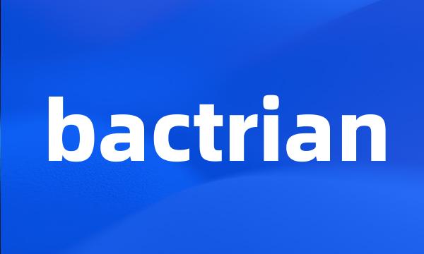 bactrian