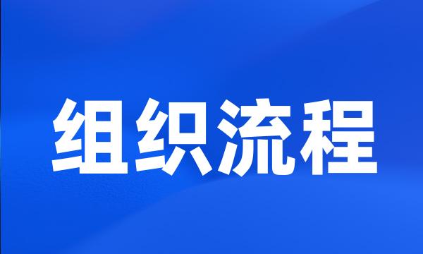 组织流程
