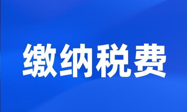 缴纳税费