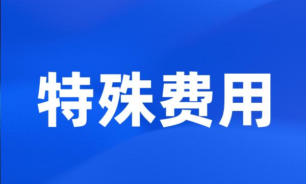 特殊费用