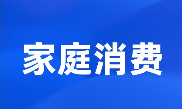 家庭消费