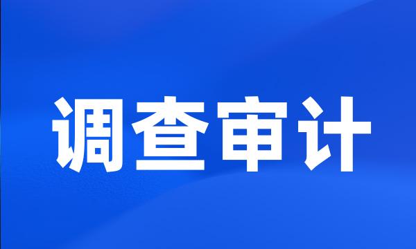 调查审计
