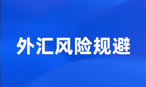 外汇风险规避