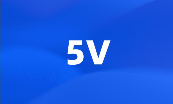 5V