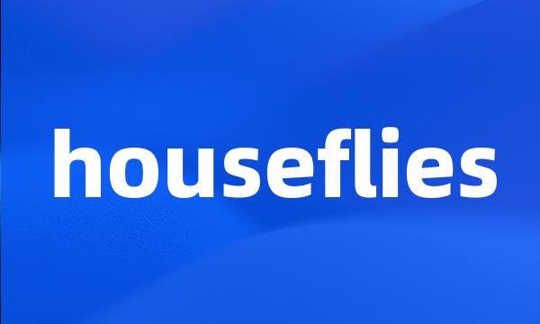 houseflies