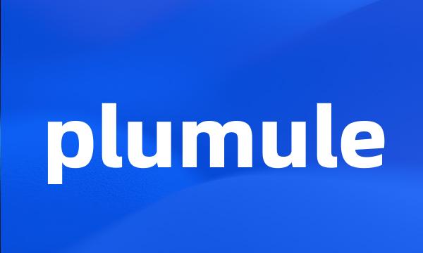 plumule