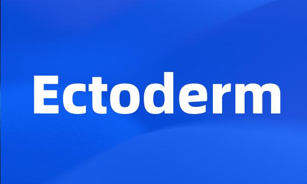 Ectoderm