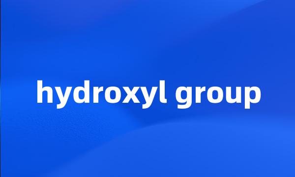hydroxyl group