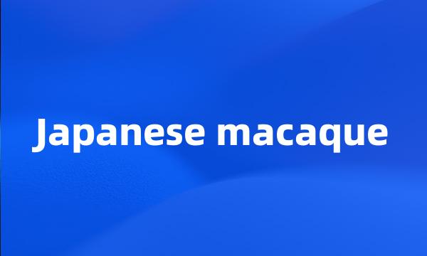 Japanese macaque