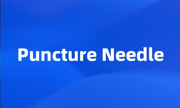 Puncture Needle
