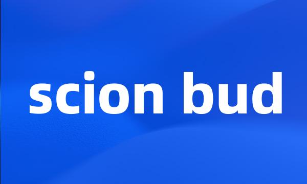 scion bud