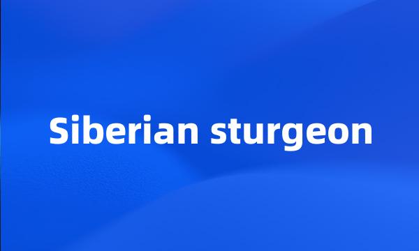 Siberian sturgeon
