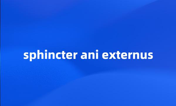 sphincter ani externus