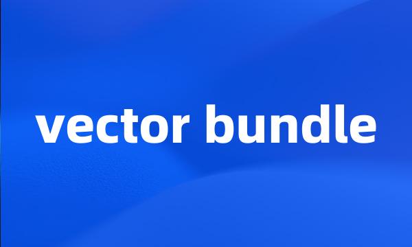 vector bundle