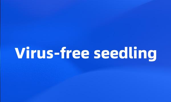 Virus-free seedling