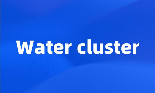 Water cluster