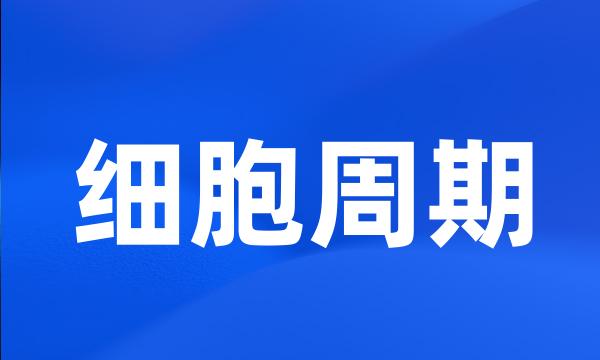 细胞周期