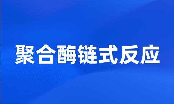 聚合酶链式反应