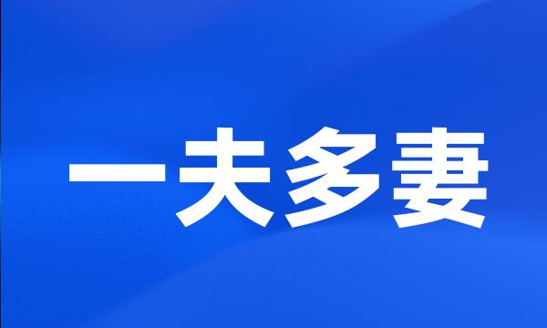 一夫多妻