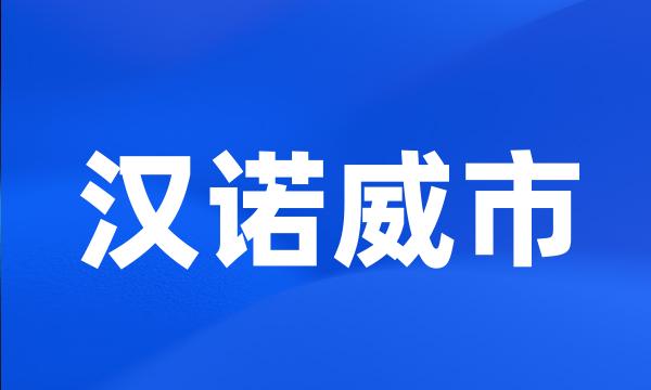 汉诺威市