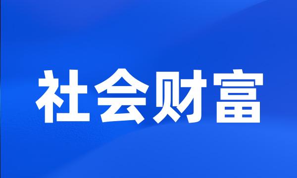 社会财富
