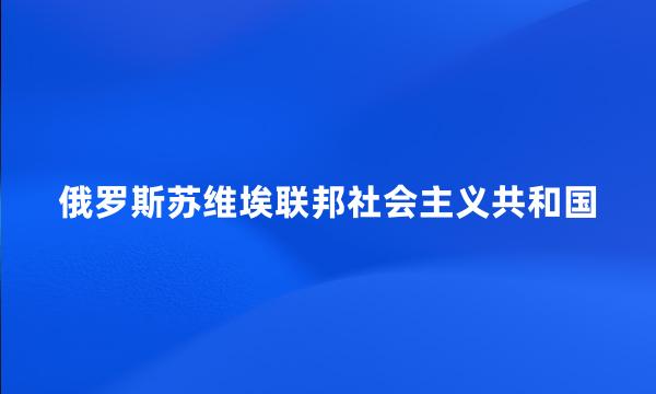 俄罗斯苏维埃联邦社会主义共和国