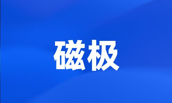 磁极