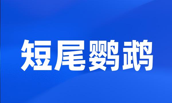 短尾鹦鹉