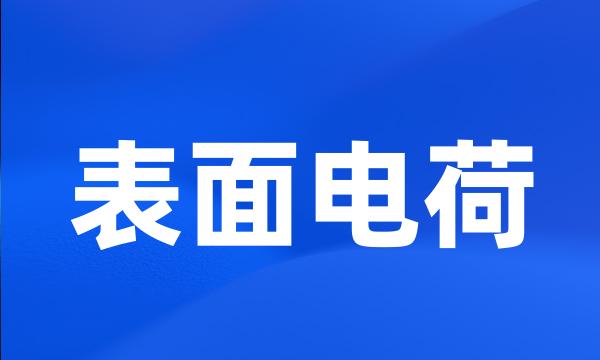 表面电荷