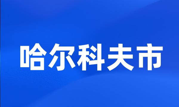 哈尔科夫市