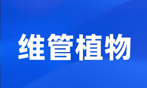 维管植物