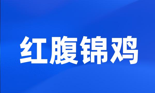 红腹锦鸡