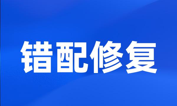 错配修复