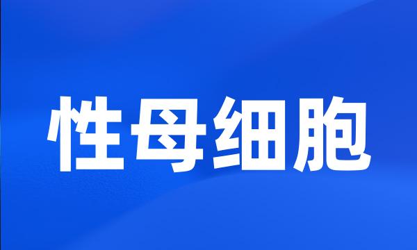 性母细胞