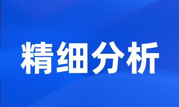精细分析