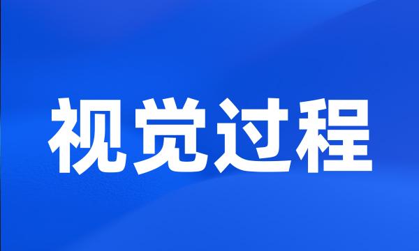 视觉过程