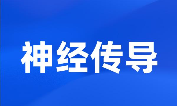 神经传导