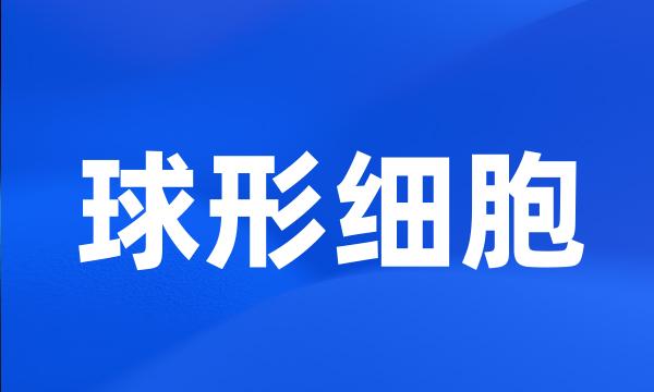 球形细胞