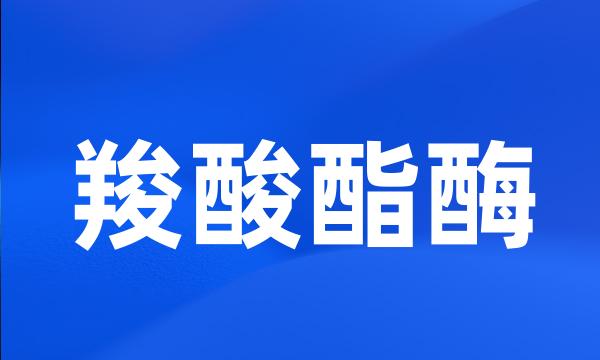 羧酸酯酶