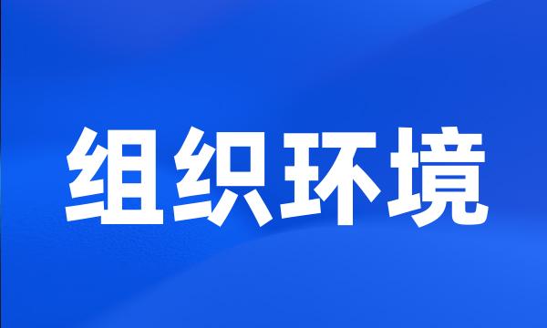 组织环境