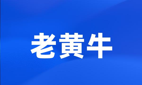 老黄牛
